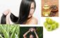 How to Quick Hair Growth